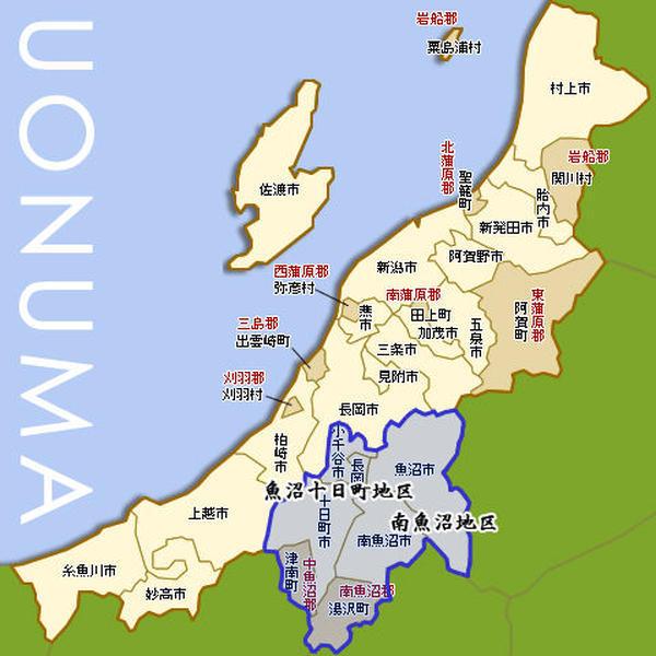 [新米 令和5年産] 玄米 魚沼産コシヒカリ 30kg (5kg×6袋 または 30kg×1袋) 厳選産地米 新潟米 お米 新潟県産 こしひかり 堀商店 送料無料