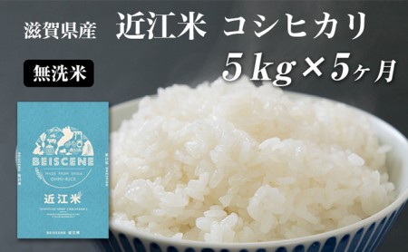 米 定期便 5ヶ月 近江米 コシヒカリ 無洗米 5kg 令和5年 滋賀県豊郷町産 お米 こめ コメ おこめ 白米 5回 お楽しみ