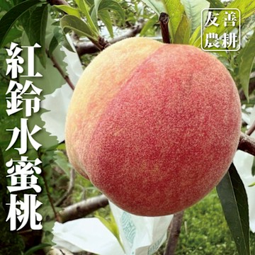 【十翼饌選果】台中東勢極品紅鈴水蜜桃8粒/1公斤/箱x2箱(黑貓低溫配送)