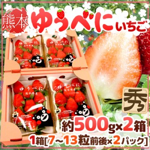 熊本県 ”ゆうべにいちご（熊紅いちご）” 秀品 2パック入り（1パック 7～13粒 約250g）×《2箱》 送料無料