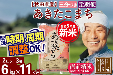 《定期便11ヶ月》＜新米＞秋田県産 あきたこまち 6kg(2kg小分け袋) 令和5年産 配送時期選べる 隔月お届けOK お米 おおもり