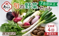 ＜定期便 4回＞ 新鮮野菜セット 1箱 7品目以上 