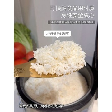 POLLADA鍍鈦金款飯勺家用廚房方形盛飯勺打飯勺米飯鏟子高檔精緻