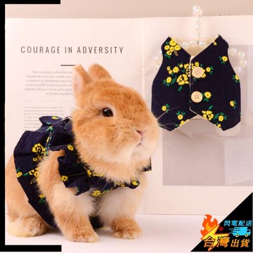 【台灣出貨】兔子衣服 日系藏青色 兔兔衣服 小寵馬甲背心 可愛裙子 兔子裝扮外出 俏皮寵物服飾 牽引繩 小寵衣服