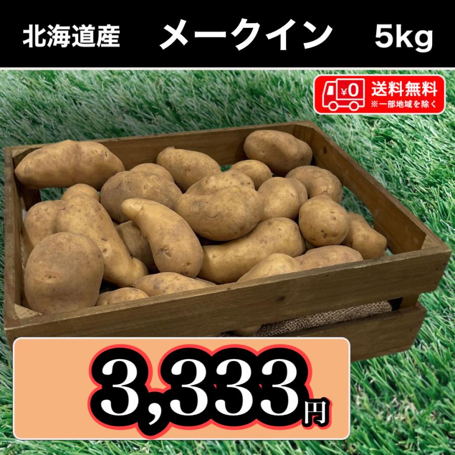 送料無料 北海道産 メークイン Mサイズ 5kg じゃがいも 馬鈴薯