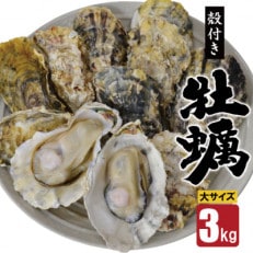 雲仙産瑞穂牡蠣大サイズ3kg(加熱用、殻付き)