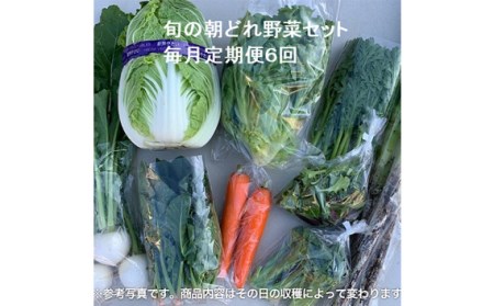 No.846 旬の朝どれ野菜セット×6回