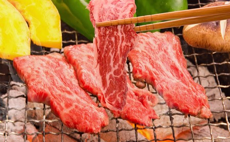 常陸牛 A5等級 焼肉用 定期便 4ヶ月連続お届け 牛肉 お肉 和牛 頒布会 大子町の常陸牛