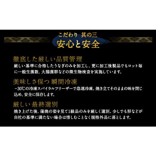 ふるさと納税 福岡県 北九州市 鰻天屋の 九州産 うなぎ 蒲焼 約140g×2尾 セット