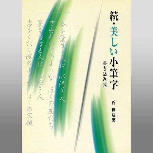 美しい小筆字 書き込み式 続