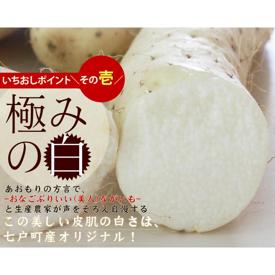 長芋 送料無用 青森県 東北町 七戸町産(2L〜Lサイズ6-8本) JAゆうき青森 から「おなごぶりいい」美白ながいも