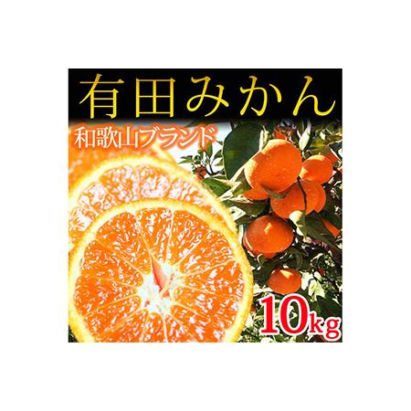 ふるさと納税 完熟有田みかん10kg ※2023年11月下旬〜2024年1月下旬頃に順次発送予定 和歌山県美浜町