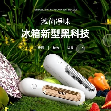 隔日達【超級除味大師】冰箱除味機 去味除臭 殺菌 冰箱 除味凈化器 臭氧殺菌 去異味 除臭味 冰箱保鮮 除味器 空氣凈化