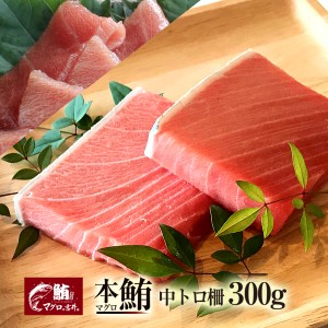 お歳暮 ギフト まぐろ 中トロ ブロック 300g 刺身 極上 の旨味が味わえます！ 解凍レシピ付 プレゼント マグロ 鮪 海鮮丼 寿司 御祝 内祝