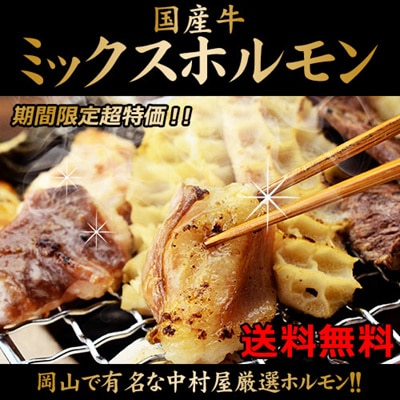 ホルモン 中村屋厳選！！国産牛ミックスホルモン300g（焼肉バーベキューもつ鍋ホルモンうどん等にホルモン焼き　ホルモン　小腸）