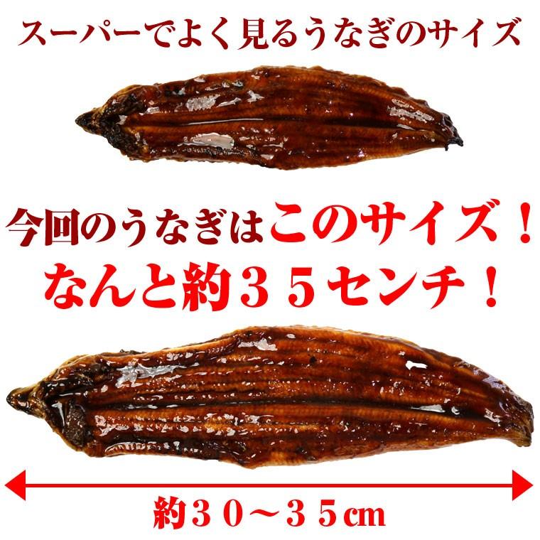 うなぎ蒲焼　1尾　約250ｇ 中国産 特大　ギフト