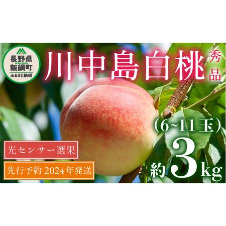 ふるさと納税 桃 川中島白桃 3kg 先行予約 2024年 秀品 光センサー 【 もも モモ 予約 白桃 果物 くだもの フルーツ 旬 長野 信州 17000円 17000.. 長野県飯綱町