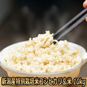 令和5年産 新潟産 特別栽培米 コシヒカリ 玄米 30kg  農薬節減（7割減） 有機肥料栽培米・残留農