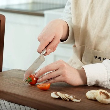 米其林主廚聯名系列｜經典萬用不鏽鋼蔬果刀 ( P-10 )