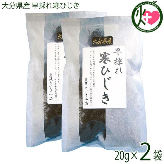 大分県産 早採れ寒ひじき 20g 2袋セット 山忠