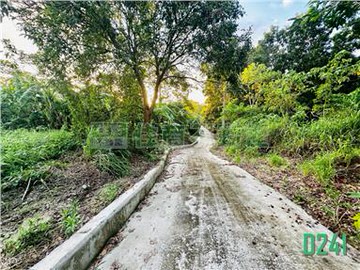 左鎮1632坪低總價農地☎️賞屋290-6660｜台南市左鎮區左鎮