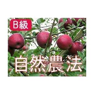 りんご 林檎 リンゴ 訳あり (B級品) 竹嶋有機農園の自然農法りんご ジョナゴールド(約10kg) 青森県