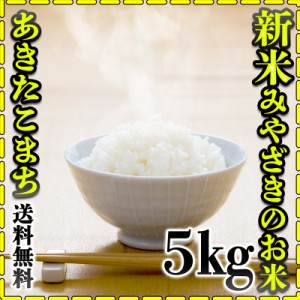 お米 米 5kg 白米 送料無料 宮崎県産 あきたこまち 新米 令和5年産 5kg1個 みやざきのお米 富田商店 とみた商店