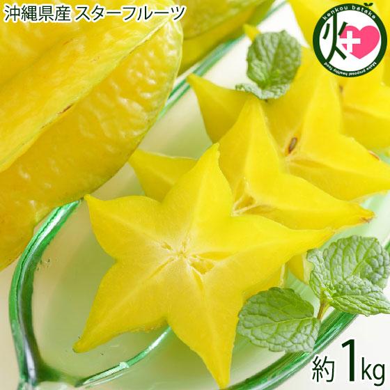 期間限定 沖縄産 スターフルーツ 約1kg 沖縄 南国フルーツ