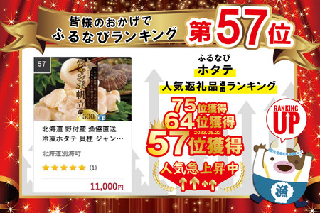 北海道 野付産 漁協直送 冷凍ホタテ 貝柱 ジャンボホタテ500g  （ ほたて ホタテ 帆立 貝柱 北海道 野付 人気 ふるさと納税 ）