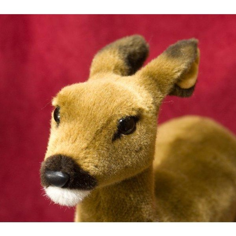 ケーセン ぬいぐるみ kosen ノロジカ メス 33cm Doe Deer リアル 動物