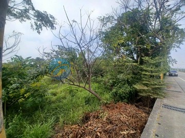 里港內山公路邊美農地｜屏東縣里港鄉土庫段