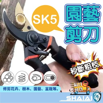 隔日到貨 SK5 樹枝剪 園藝剪 花剪 園藝剪刀 修枝剪 高枝剪 粗枝剪刀 修花剪刀 果樹剪 園藝工具 花藝剪刀