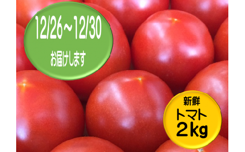 V-35◆愛情たっぷり新鮮トマト２kg