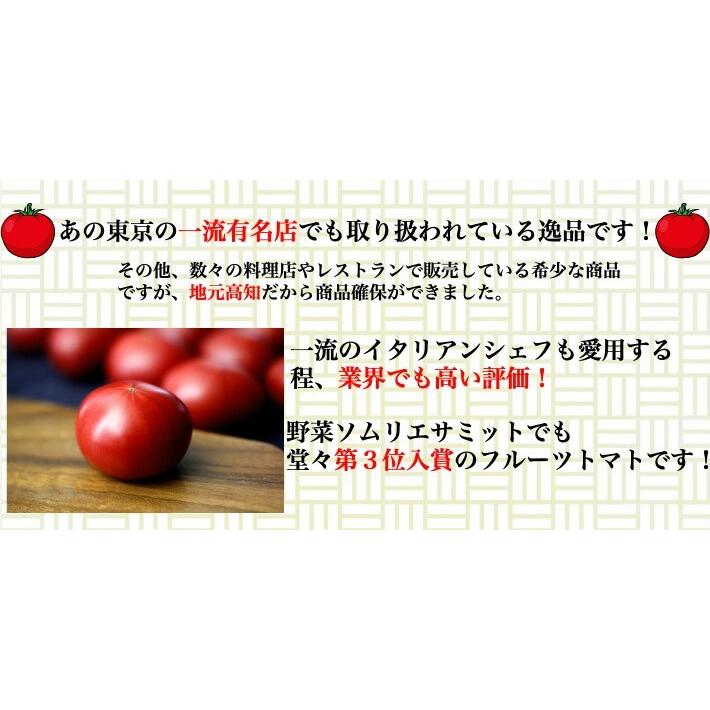 ＼12月中旬発送予約／ トマト フルーツトマト 高知県産 高濃度 ミニトマト 約4kg 高級 訳あり ギフト