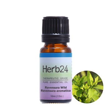 Herb24 羅文沙葉 純質精油 10ml