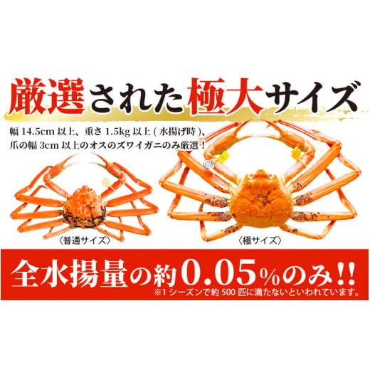 ふるさと納税 福井県 越前町 越前がに本場の越前町からお届け！ 越前がに極 浜茹で × 1杯（生で1.5kg以上） かにの食べ方しおり付き【福井県…