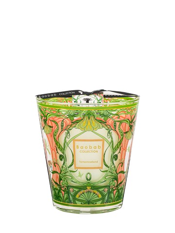 Max 16 Tomorrowland 2024 Candle