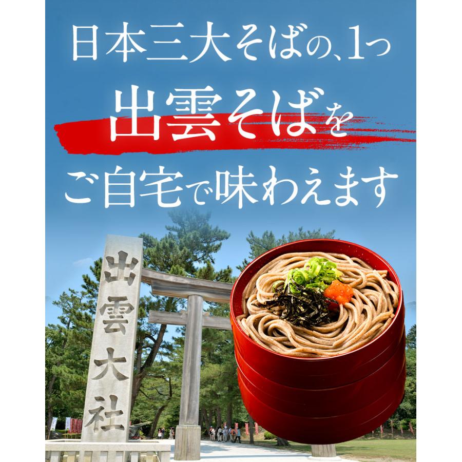 出雲生そば 送料無料 出雲 そば 生麺 取り寄せ そば 生そば 6食入(180g×3袋)  7-14営業日以内に発送(土日祝除く)