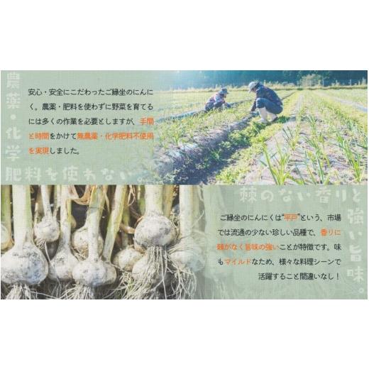 ふるさと納税 和歌山県 古座川町 ＼農薬不使用・化学肥料不使用／にんにく 1kg