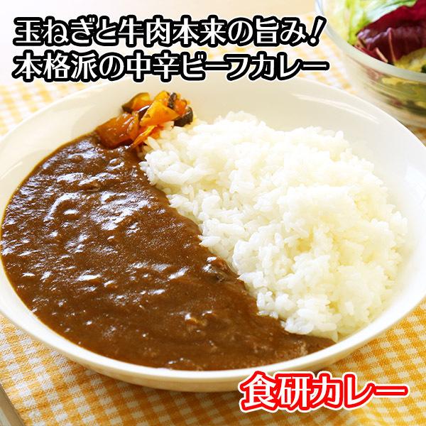 日本食研 カレー レトルト 食研カレー セット 4食 メール便 ポイント消化 送料無 レトルトカレー レトルト 食品 お取り寄せ グルメ