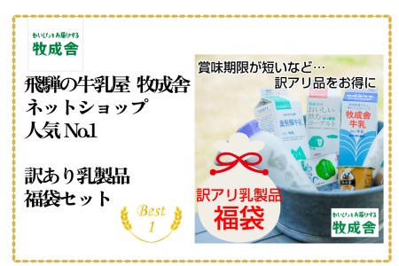 乳製品 訳あり 福袋 ヨーグルト 牛乳 種類おまかせ  訳あり 詰合せ 牧成舎 TR3754