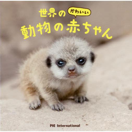 世界のかわいい動物の赤ちゃん パイインターナショナル 大渕希郷