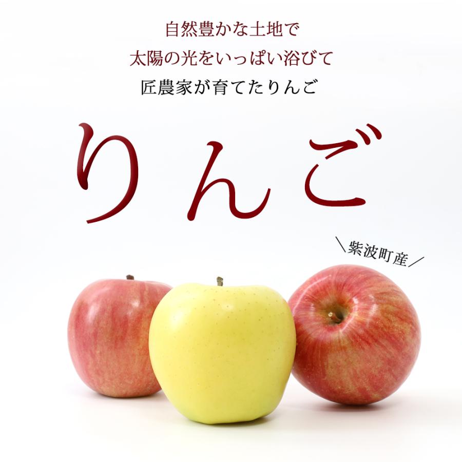 りんご 産地直送 岩手県産 ふじ 3kg 9-11玉入り サンふじ 秀品 贈答 ギフト 農家直送 林檎 リンゴ 果物 無袋栽培 樹上完熟