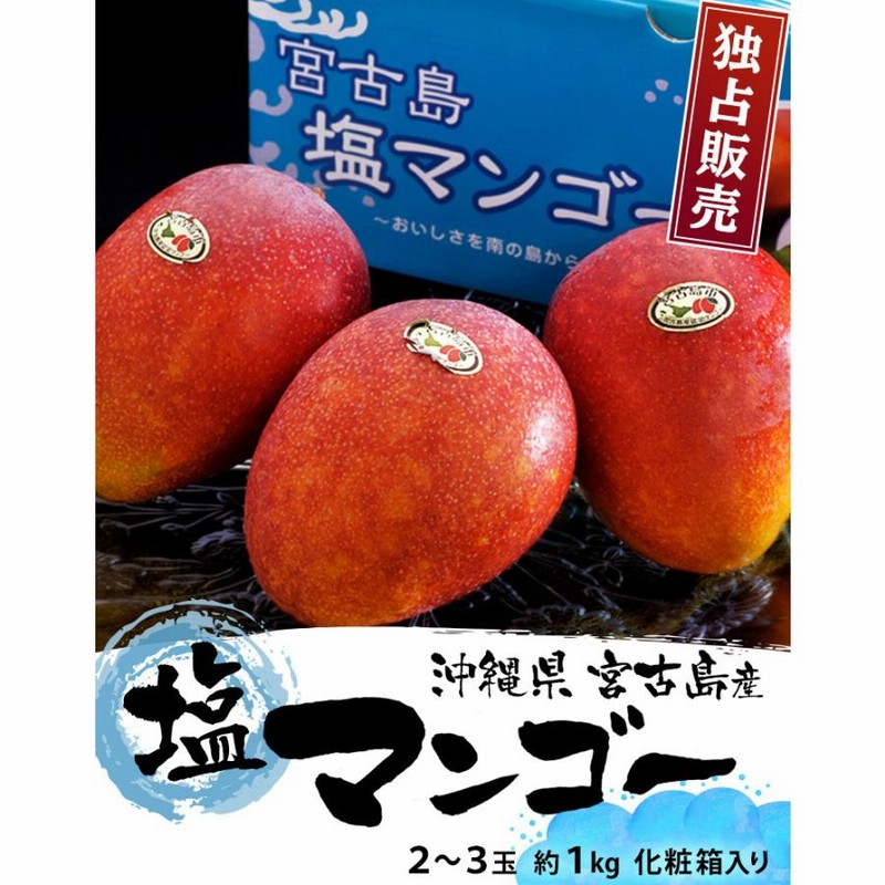 97%OFF!】 沖縄産 マンゴー4玉 1.5kg ×3箱 12玉 アーウィン nmef.com