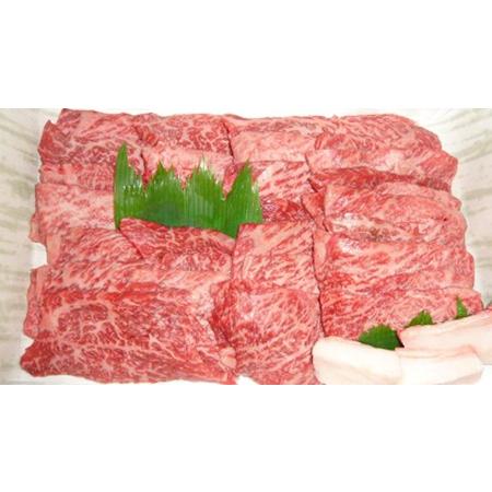 ふるさと納税 茨城県産高級黒毛和牛「常陸牛」　もも焼肉用　480g　[AI009ya] 茨城県八千代町