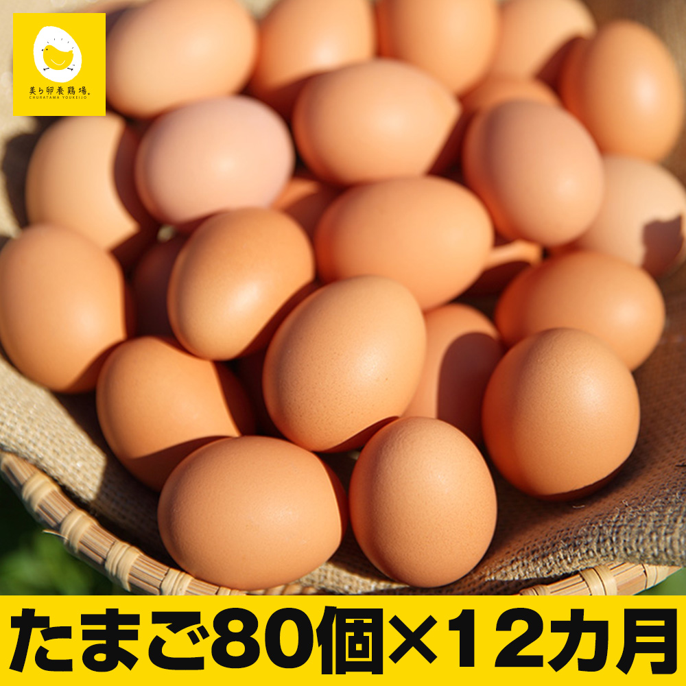 12ヵ月連続お届け　卵の黄身が掴めるほどの新鮮さ　美ら卵養鶏場の卵　各月80個