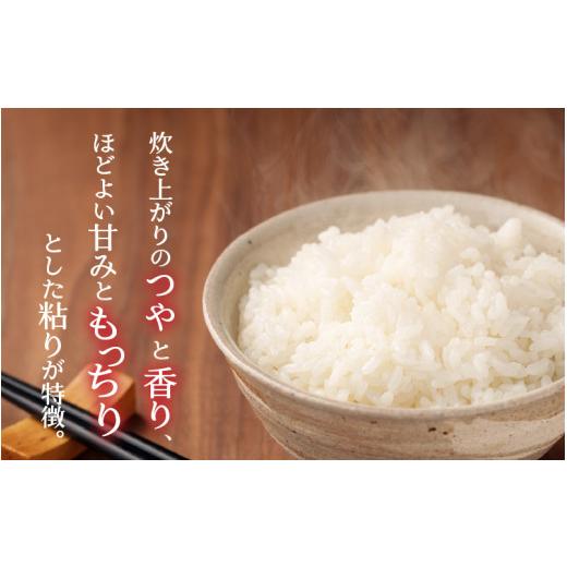 ふるさと納税 福井県 勝山市 令和5年産 新米 福井県産奥越コシヒカリ2kg ×1袋 [A-015004]