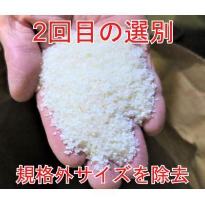 ふるさと納税 大仙市 20kg(5kg×4)大手有名百貨店出荷米　あきたこまち　令和5年産米