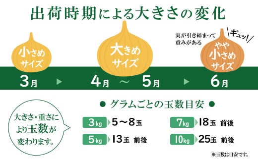 訳あり 新玉ねぎ　生がおいしい 神重農産のブランド玉ねぎ「旬玉」3kg　H105-114