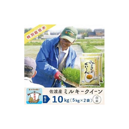 ふるさと納税 新潟県 佐渡市 佐渡島産 ミルキークイーン 白米10Kg 特別